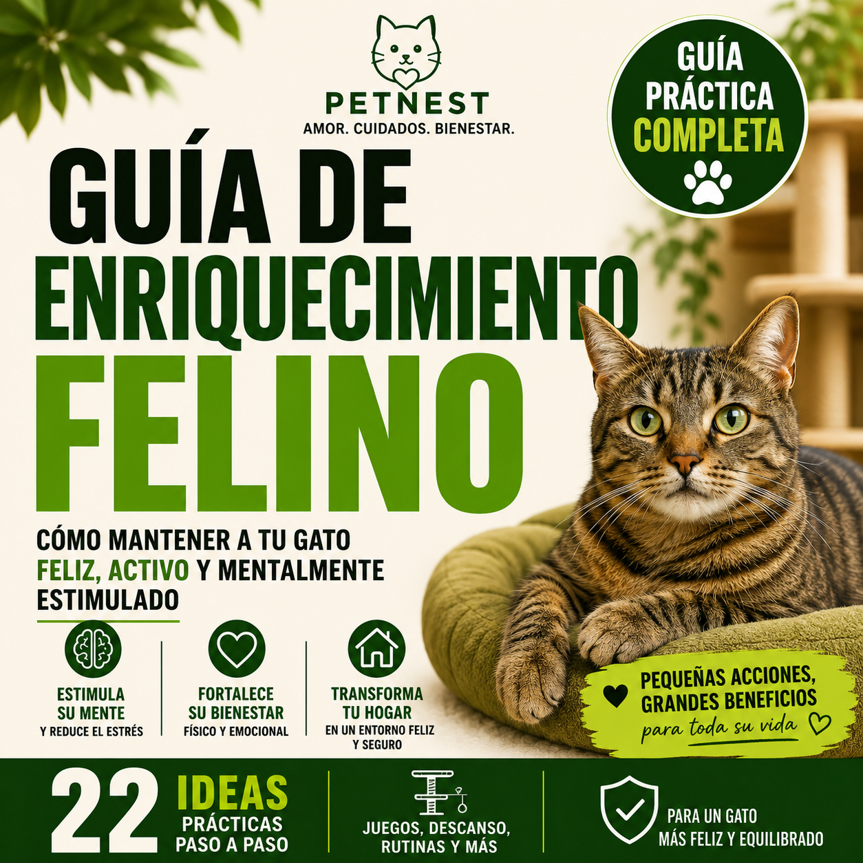 Guía Enriquecimiento Felino