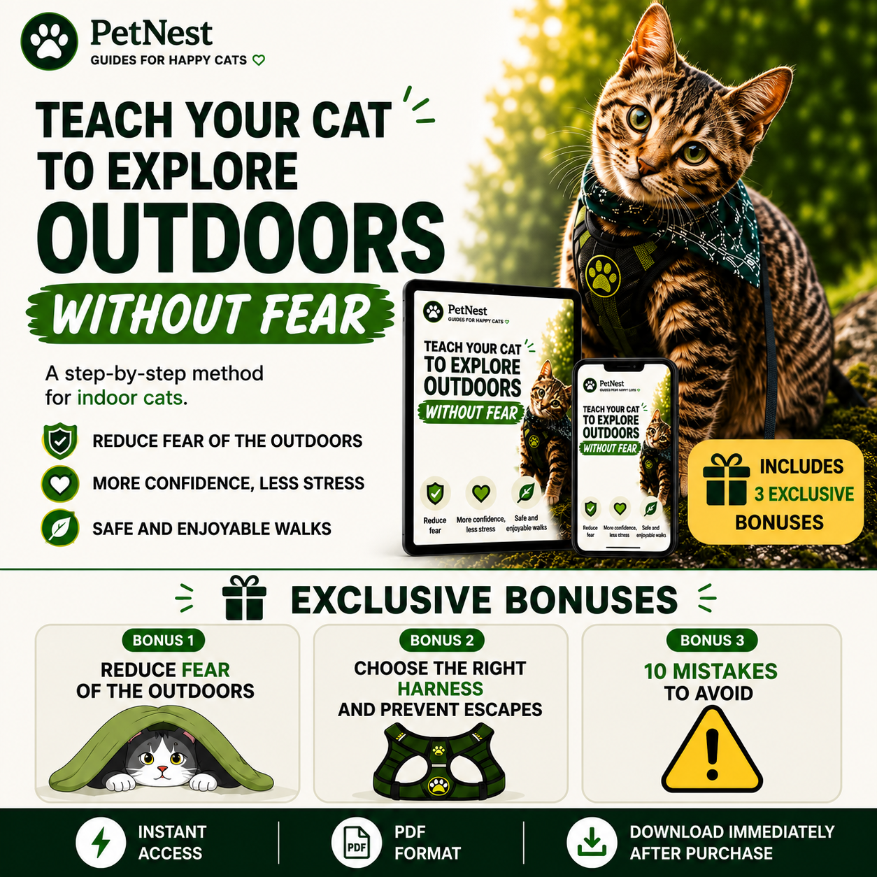 The Complete Cat Adventure Guide