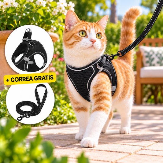 ARNÉS + CORREA ANTIESCAPE PARA GATOS