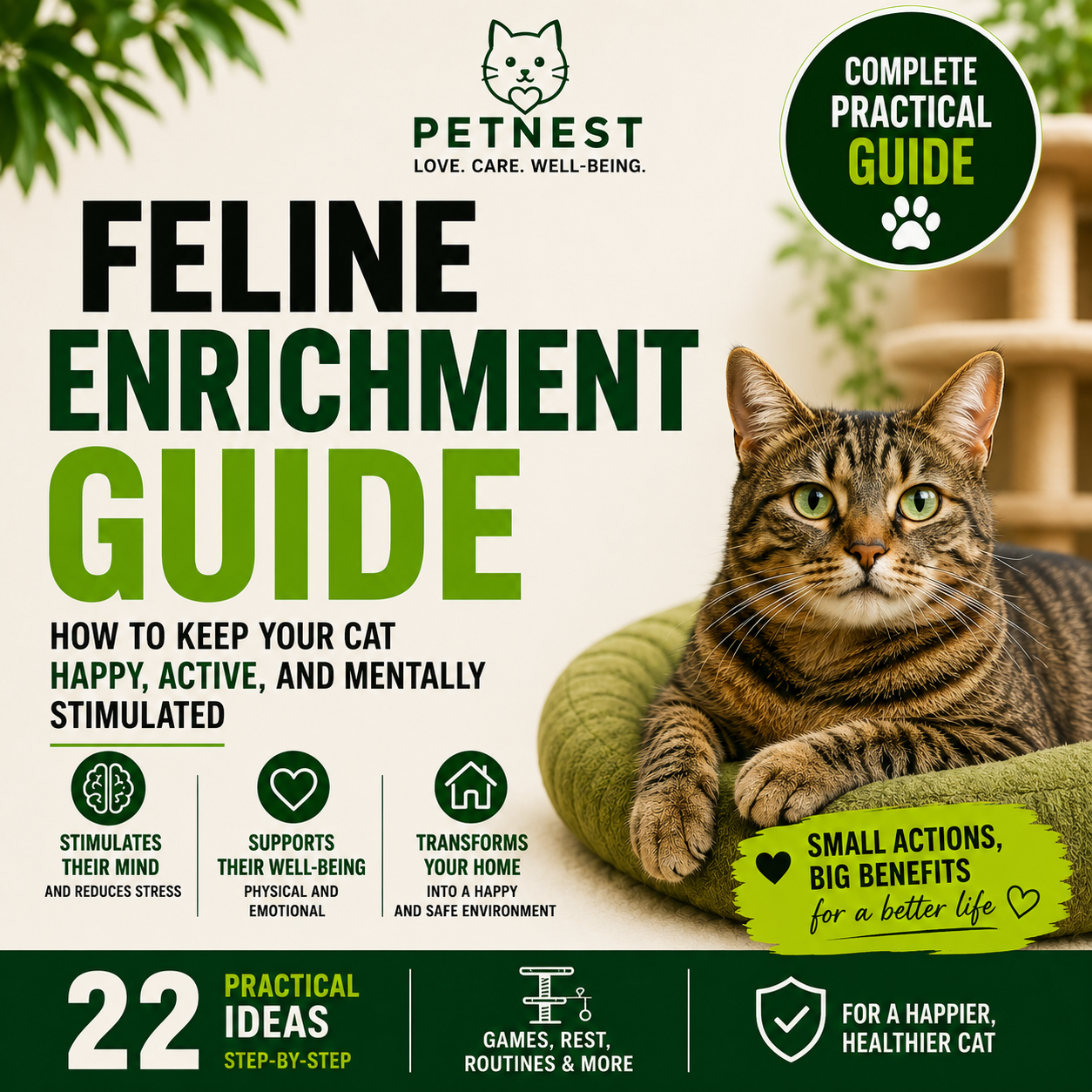 The Complete Cat Adventure Guide