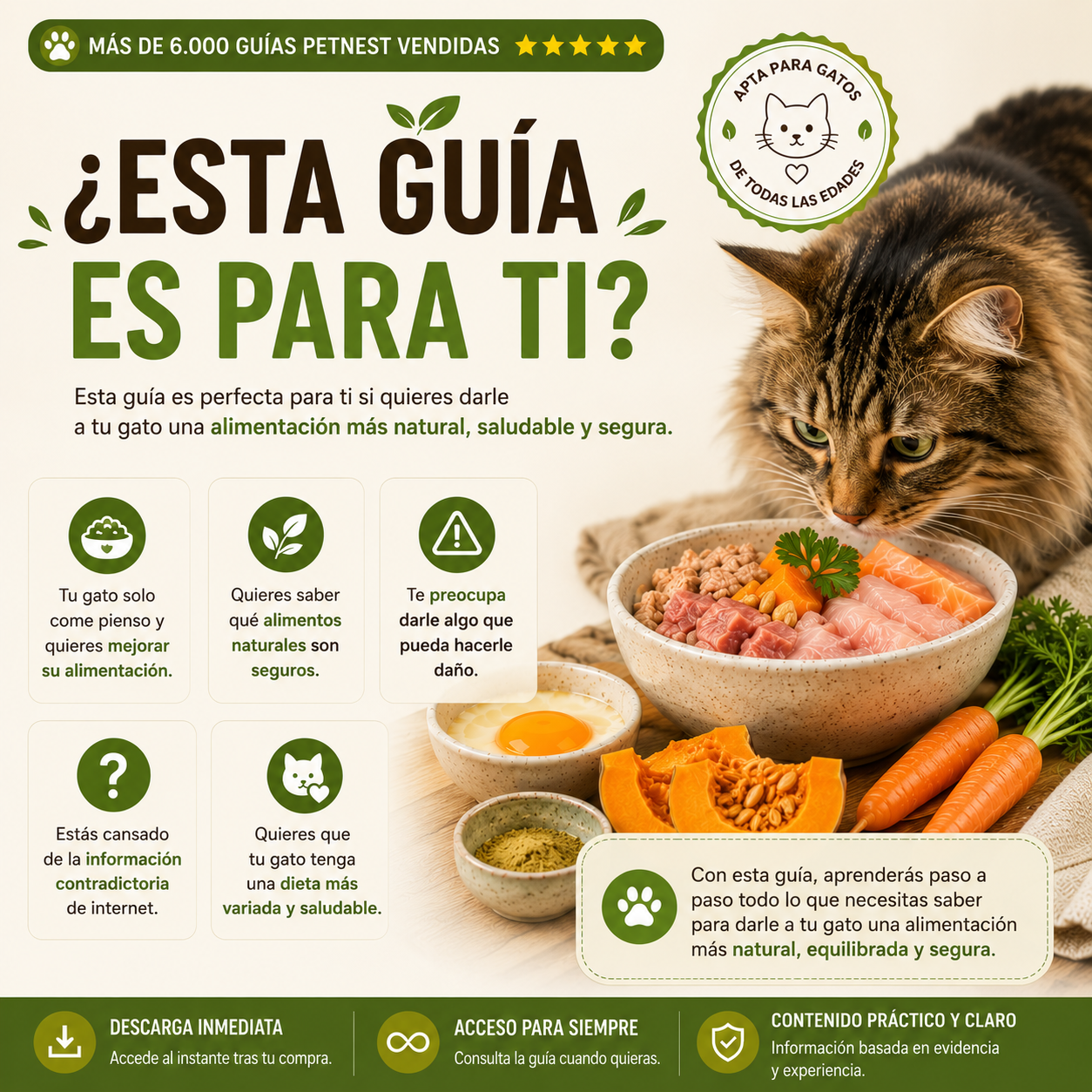 Guía de Alimentación Natural para Gatos