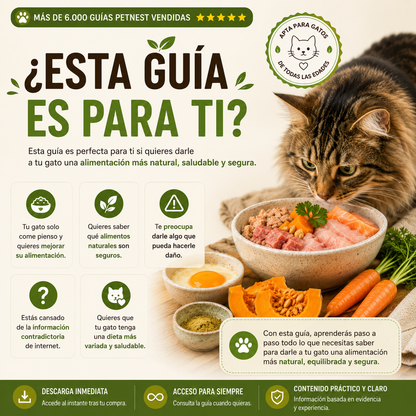 Guía de Alimentación Natural para Gatos