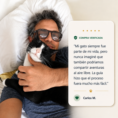 Aprende a salir con tu gato sin estrés y con seguridad