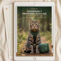 GUIA- de Seguridad y Primeros Auxilios para Gatos